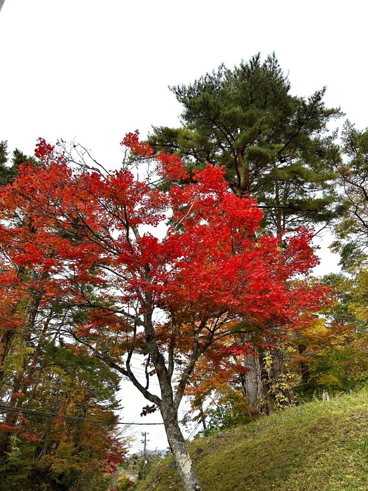 からっ風②さんが投稿した裏磐梯高原ホテルに関する口コミの画像