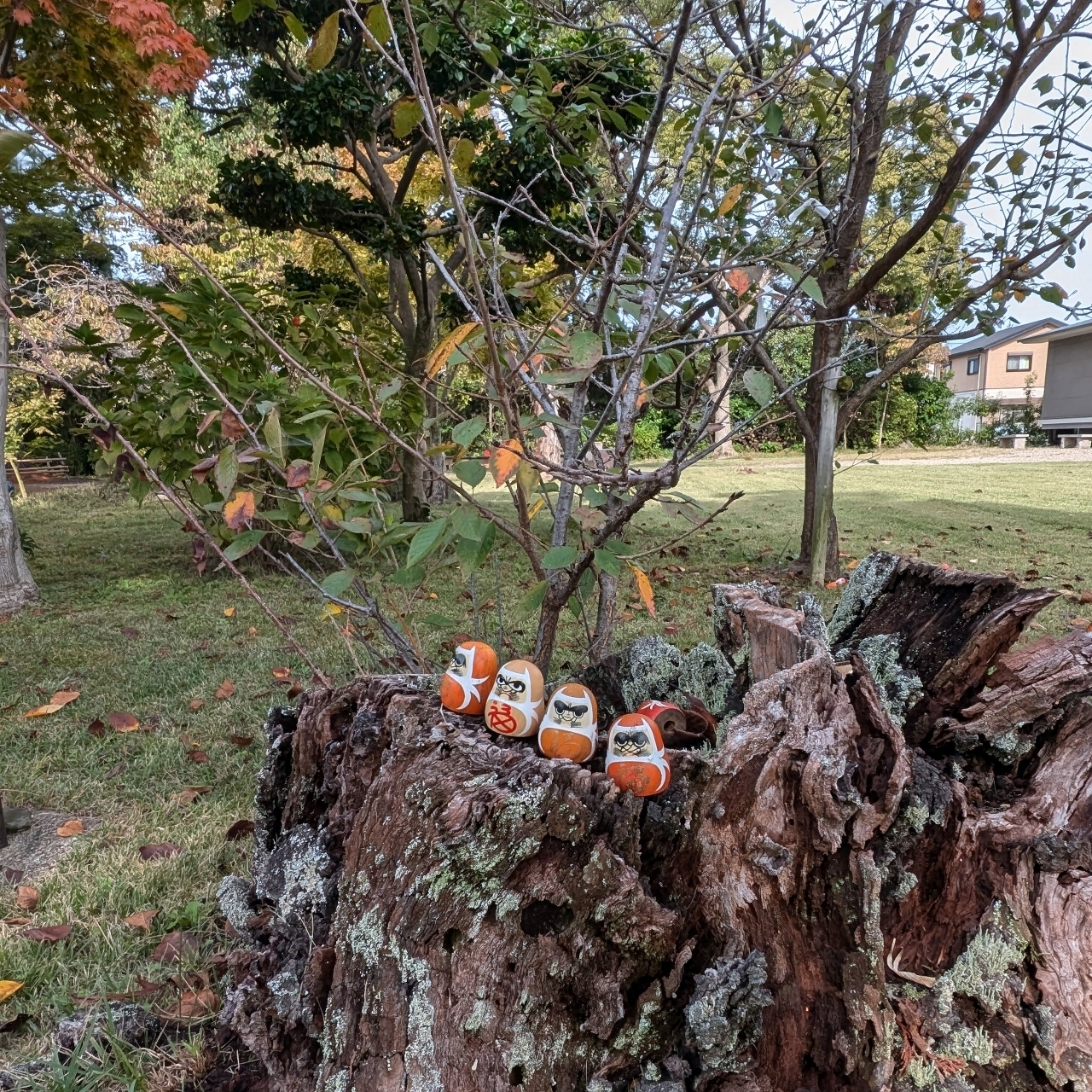ぬっくさんが投稿した大安寺に関する口コミの画像