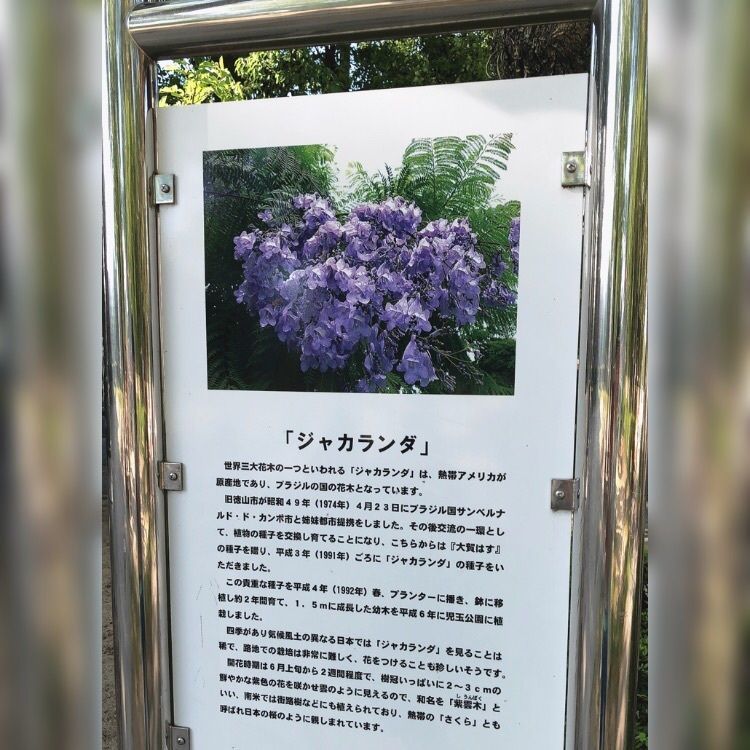 mimiさんが投稿した徳山七士碑に関する口コミの画像