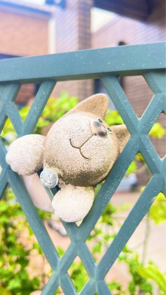 miiさんが投稿したCafe Dhiguに関する口コミの画像