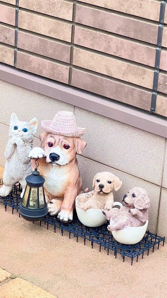 miiさんが投稿したCafe Dhiguに関する口コミの画像