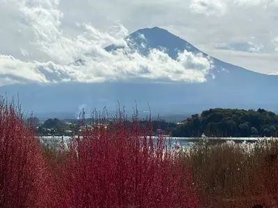 レイクベイク