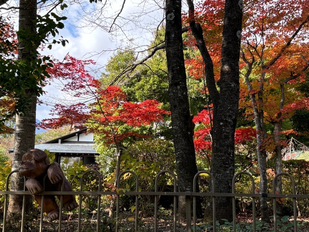 それなはとけさんが投稿したレイクベイクに関する口コミの画像