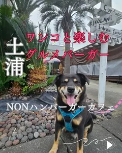エヌオーエヌハンバーガーカフェ（NON HAMBURGER CAFE）