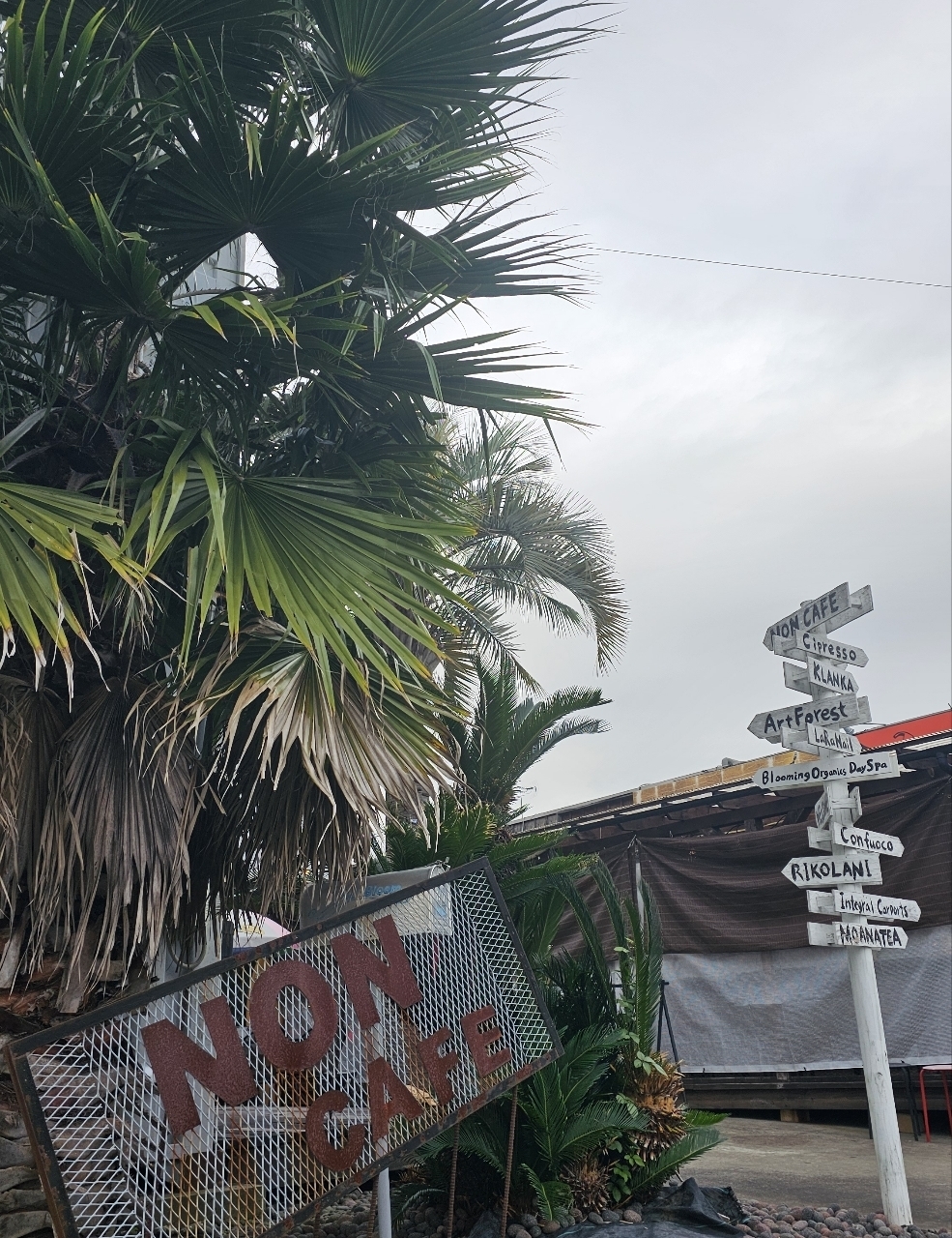 ビーグルボーイさんが投稿したエヌオーエヌハンバーガーカフェ（NON HAMBURGER CAFE）に関する口コミの画像