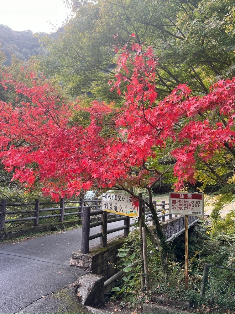 r_Rhapsodyさんが投稿した一目八景に関する口コミの画像