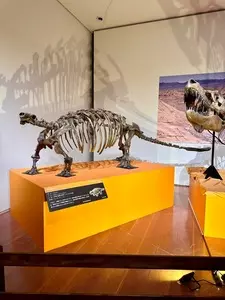 新潟県立万代島美術館