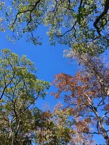 静岡県立森林公園ピクニックガーデン