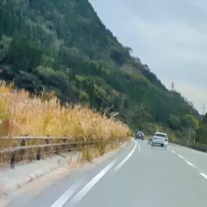 数鹿流ヶ滝展望所