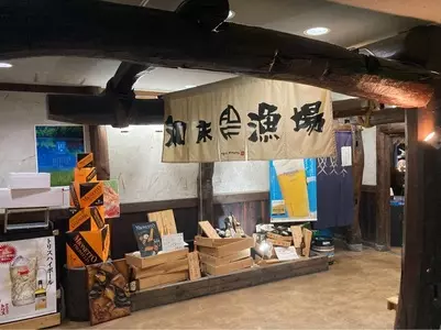 泳ぎイカ 北海道知床漁場 天神橋店