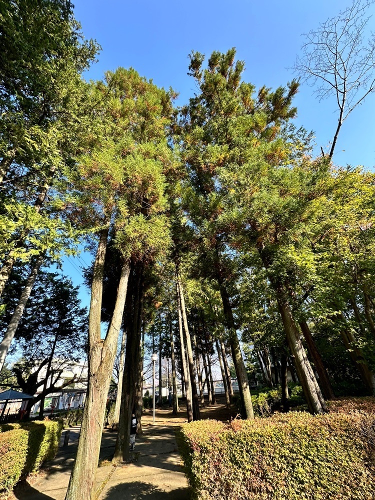 からっ風②さんが投稿した太田市歴史公園に関する口コミの画像