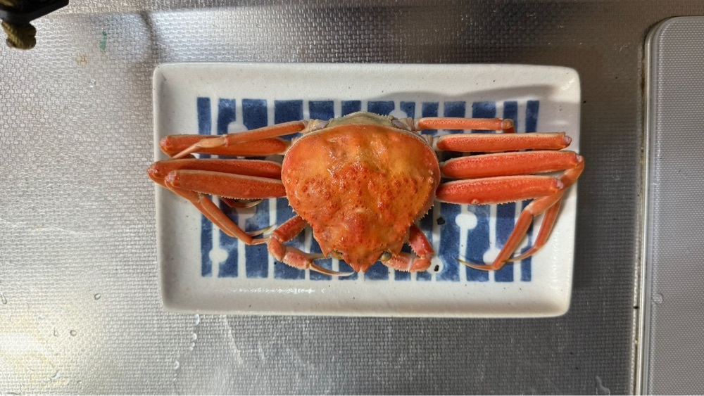 たか富山人さんが投稿したすし玉 ファボーレ店に関する口コミの画像