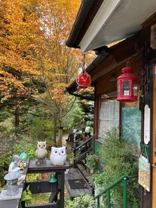 煙の木