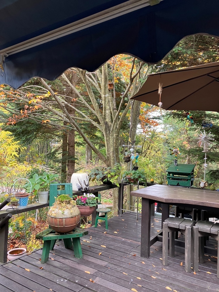 Nさんが投稿した煙の木に関する口コミの画像