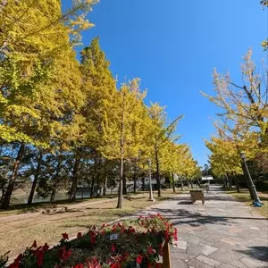 ロクハ公園
