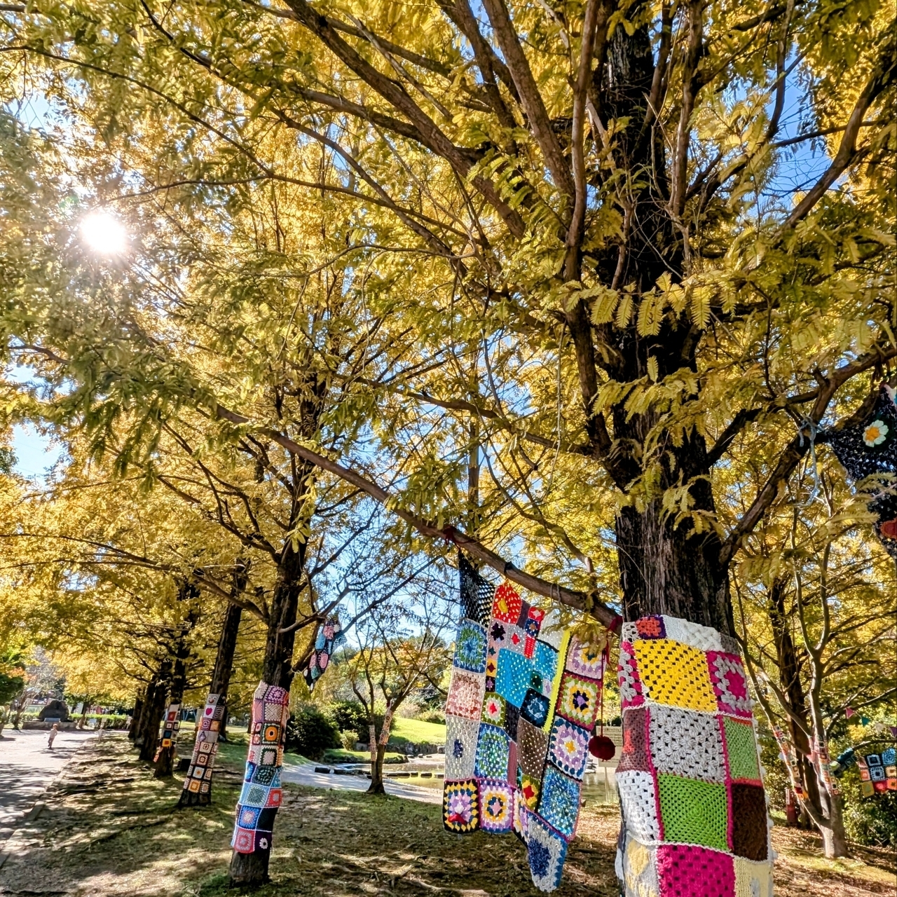 ぬっくさんが投稿したロクハ公園に関する口コミの画像