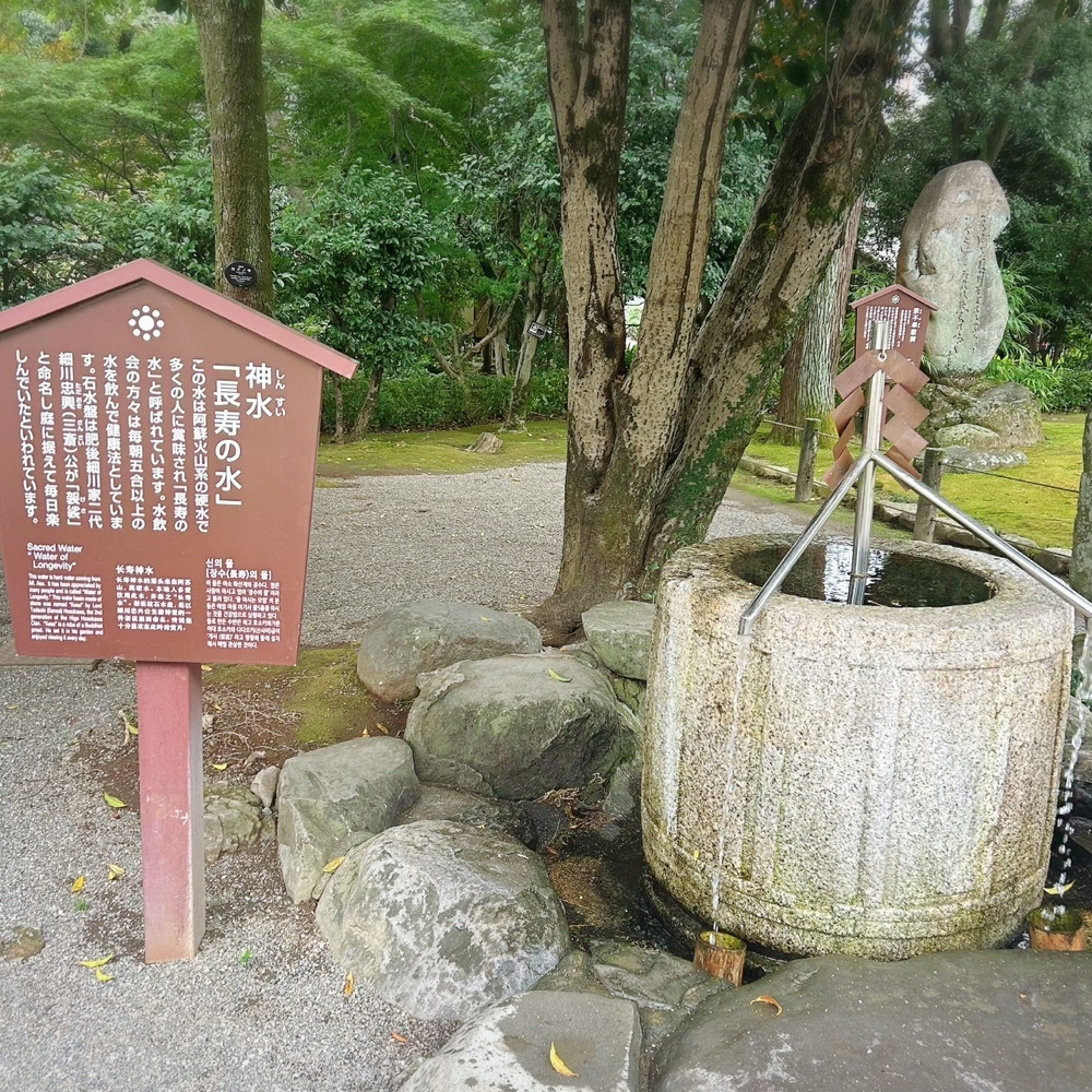 Mr. イリジウム シルバーさんが投稿した水前寺公園駅に関する口コミの画像