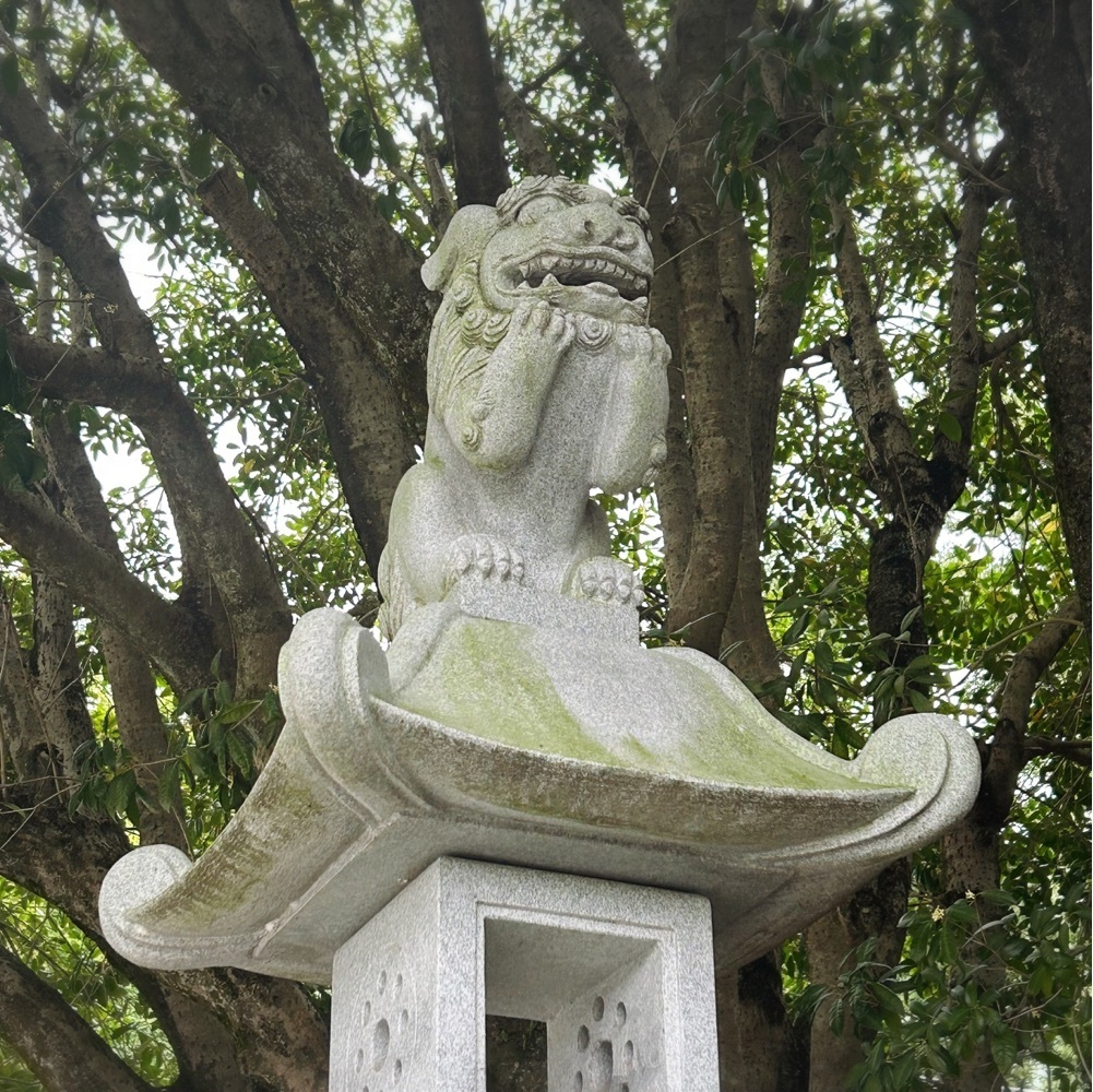 Mr. イリジウム シルバーさんが投稿した水前寺公園駅に関する口コミの画像