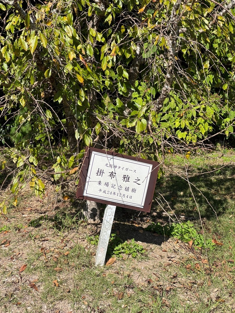 kumakentoraさんが投稿した南紀白浜リゾートホテルに関する口コミの画像