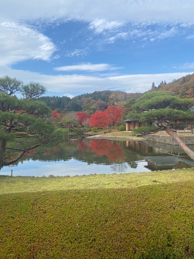 ポッキン　アンブレラさんが投稿した南湖公園翠楽園紅葉ライトアップに関する口コミの画像
