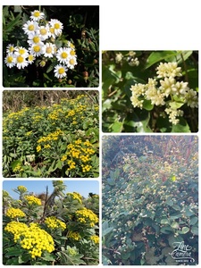 市場の食堂 金目亭 2枚目