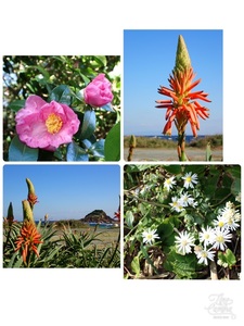 市場の食堂 金目亭 3枚目