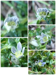 市場の食堂 金目亭 4枚目