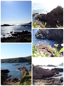 市場の食堂 金目亭 8枚目