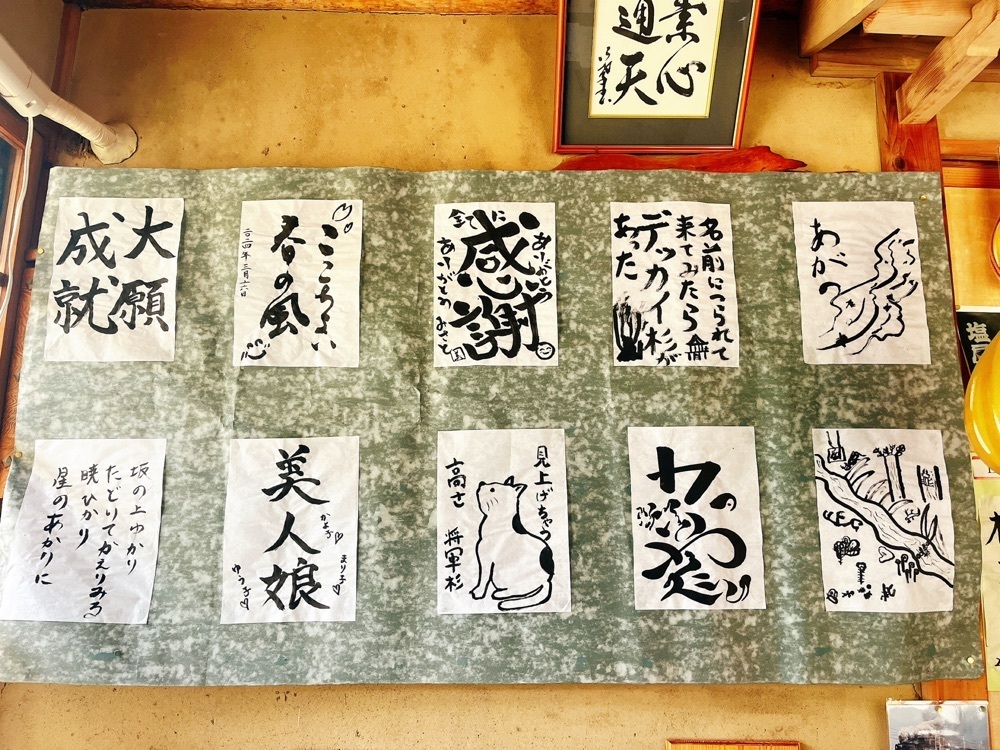 猫なぎ。さんが投稿した将軍杉に関する口コミの画像