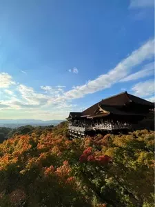 清水寺本堂