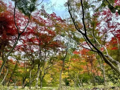 織姫公園