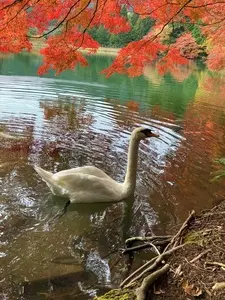南伊奈ケ湖