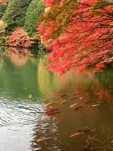 南伊奈ケ湖