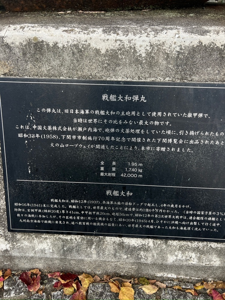 r_Rhapsodyさんが投稿した火の山展望台に関する口コミの画像