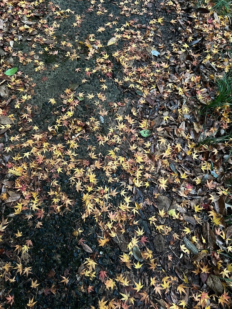 r_Rhapsodyさんが投稿した長門峡に関する口コミの画像
