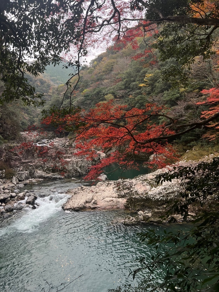 r_Rhapsodyさんが投稿した長門峡に関する口コミの画像