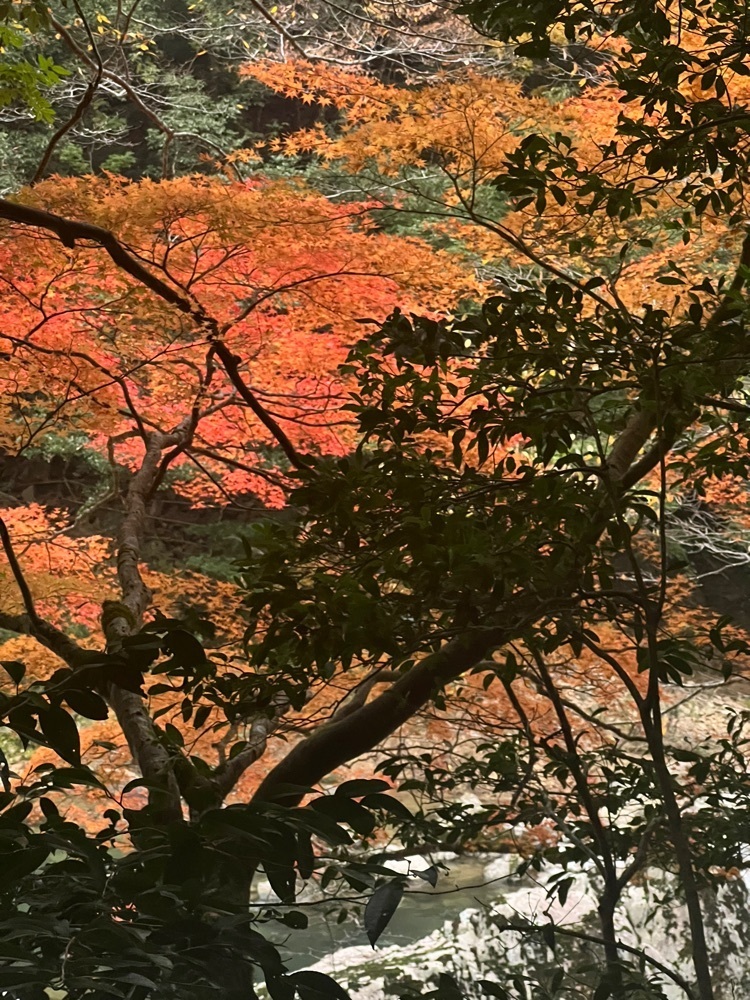 r_Rhapsodyさんが投稿した長門峡に関する口コミの画像