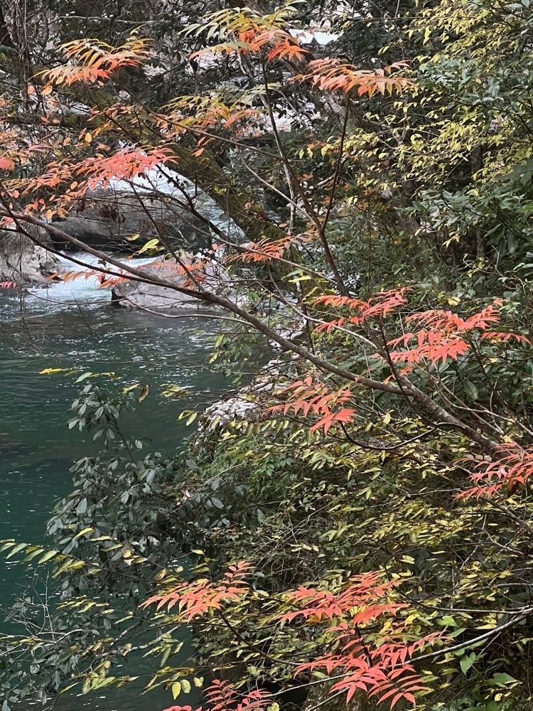 r_Rhapsodyさんが投稿した長門峡に関する口コミの画像