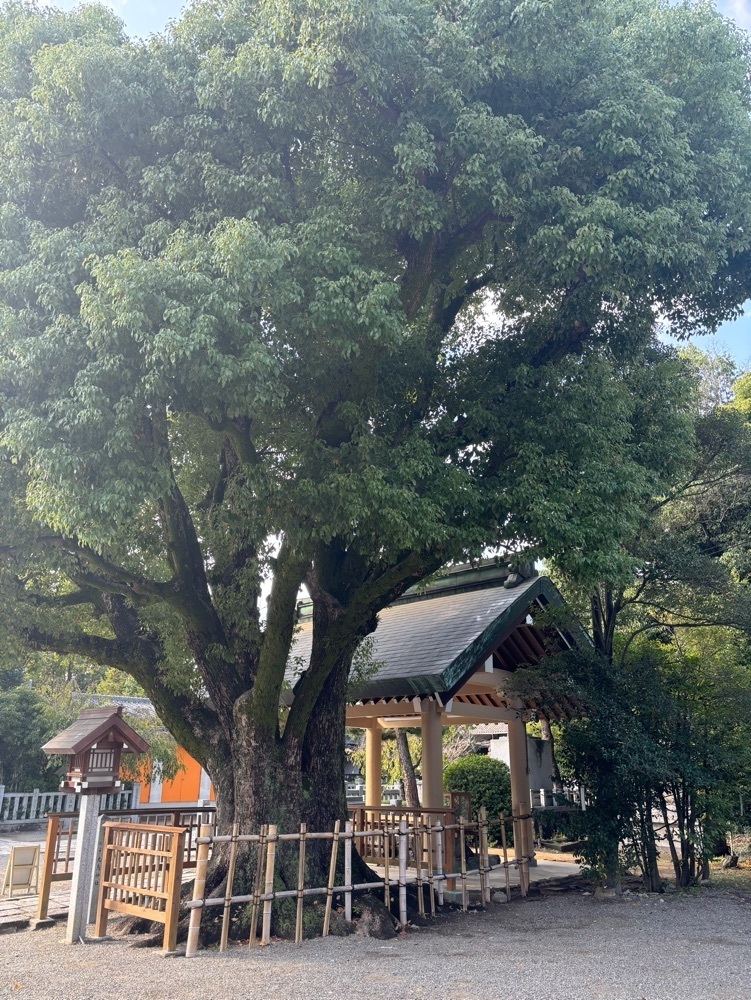 みーなさんが投稿した大鳥大社に関する口コミの画像