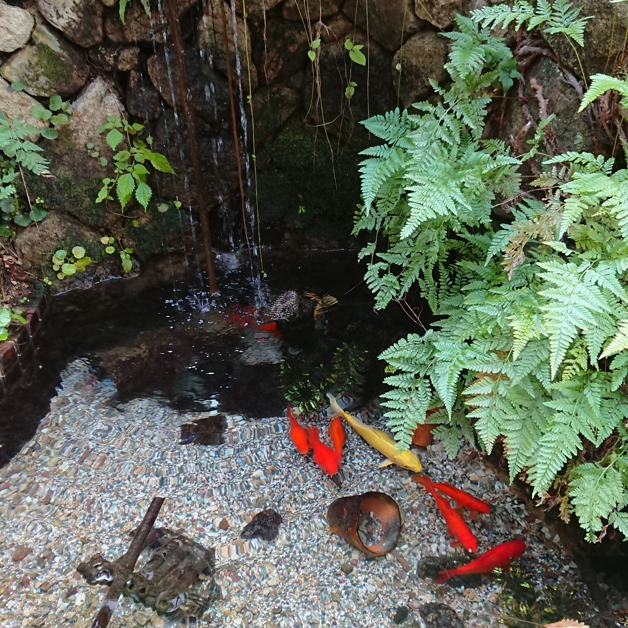 joyful_location_62ccさんが投稿した匠 18番館に関する口コミの画像