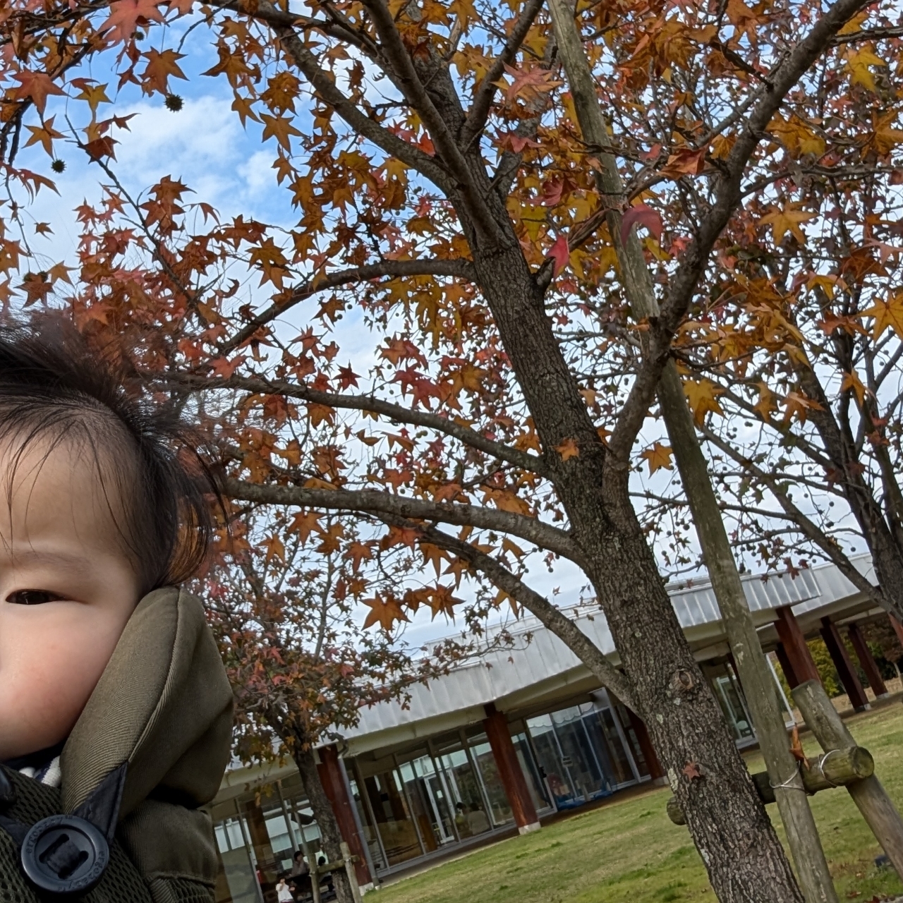 ぬっくさんが投稿したベビーフェイスプラネッツ 舞鶴店（BABYFACE Planet’s）に関する口コミの画像
