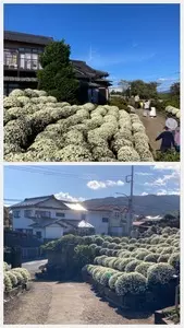 古民家カフェ しんなび