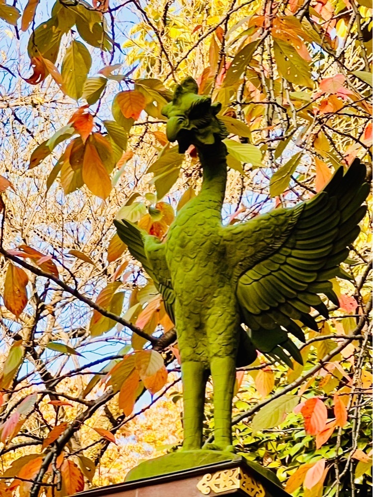 smile☺︎さんが投稿した五條天神社に関する口コミの画像