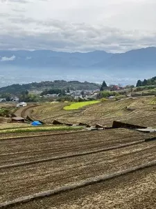 中野の棚田