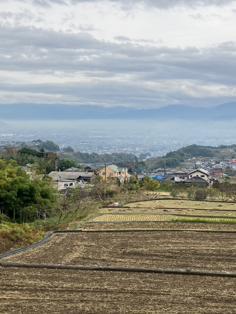 Nさんが投稿した中野の棚田に関する口コミの画像