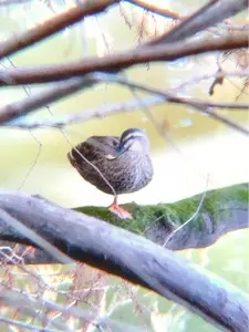 平和台公園