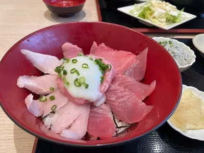 清水港 海岸食堂 バンノウ水産 清水河岸の市店