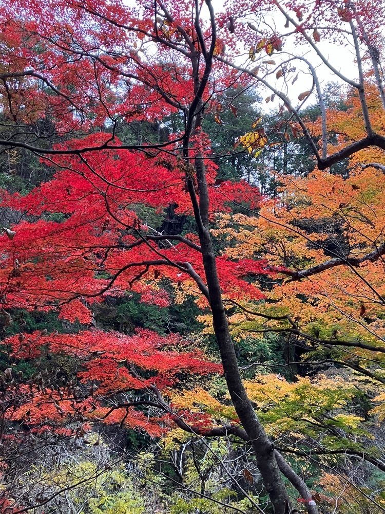 Nさんが投稿した昇仙峡の紅葉に関する口コミの画像