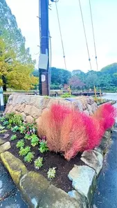 大宮公園1号売店