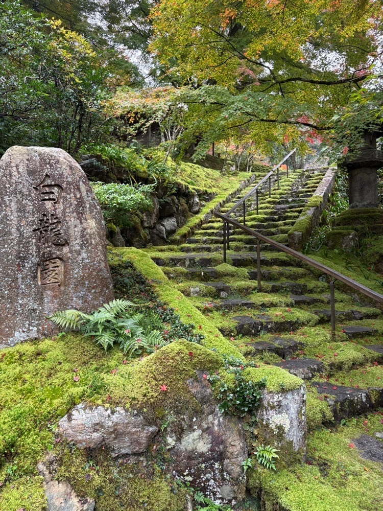 旅する〇〇さんが投稿した白龍園に関する口コミの画像